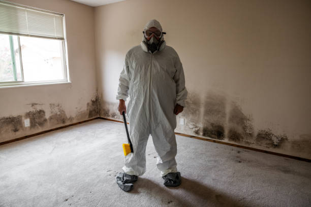 Best Mold Cleaning Services  in Mayer, AZ